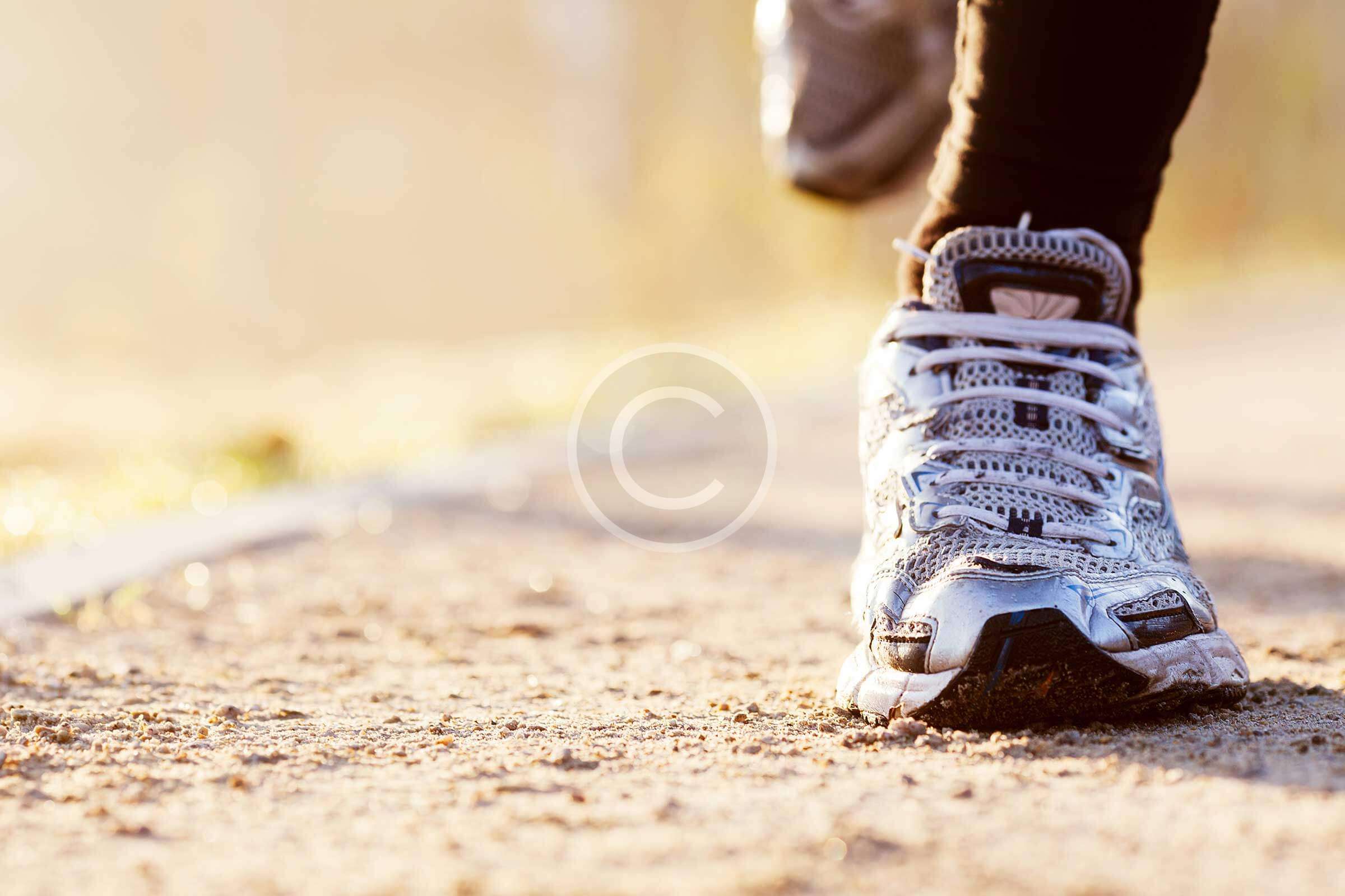 Help Save the Sumatran Orangutans!